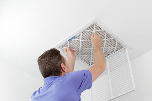 Best Local Air Duct Cleaning Services  in Centerville, MN